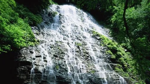 高端高效